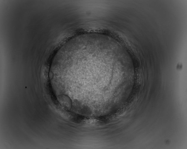 X0000100860695200807181136