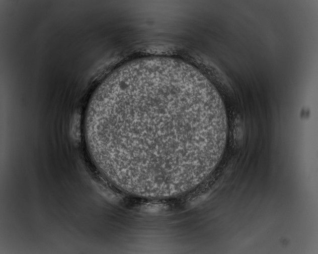 X0000100860696200807181136