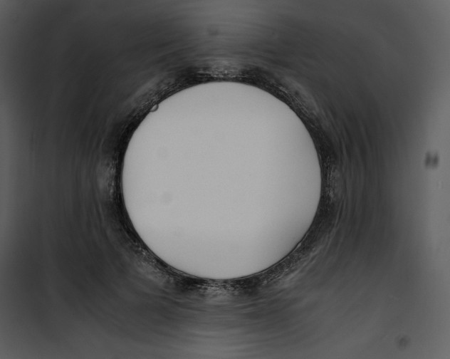 X0000100860697200807181136