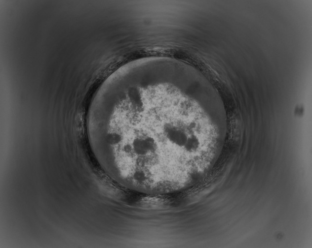 X0000100860699200807181136