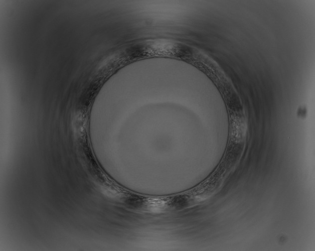 X0000100860701200807181136