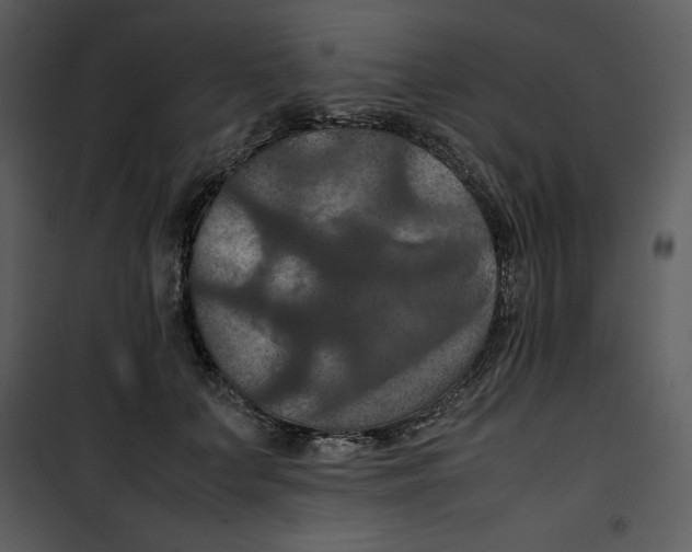 X0000100860703200807181136