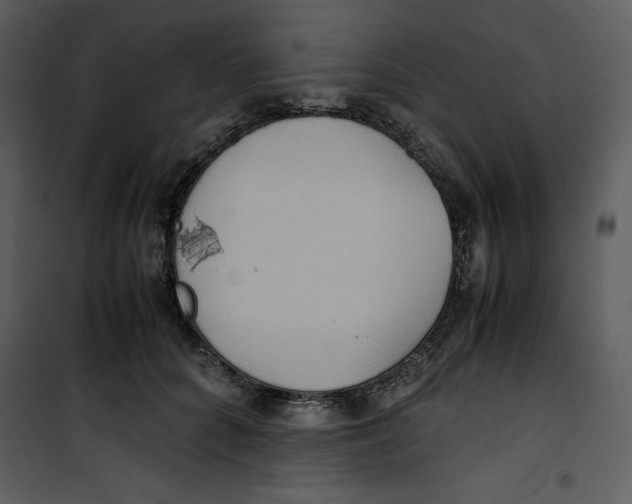 X0000100860704200807181136