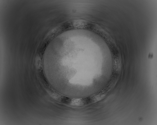 X0000100860705200807181136