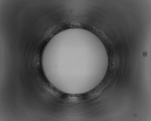 X0000100860706200807181136