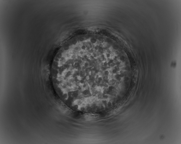 X0000100860707200807181136