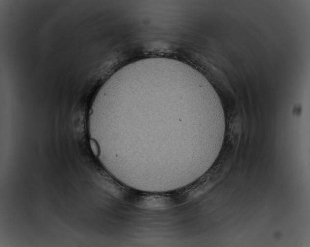 X0000100860708200807181136