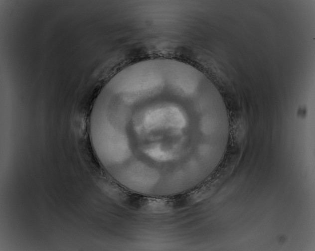 X0000100860709200807181136