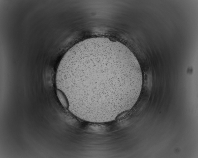 X0000100860712200807181136