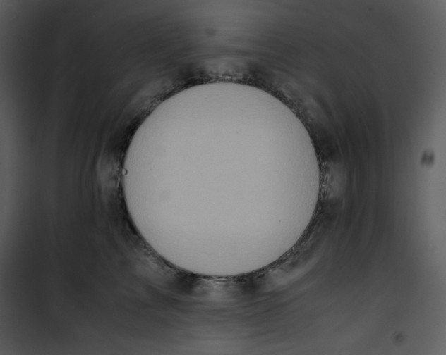 X0000100860713200807181136