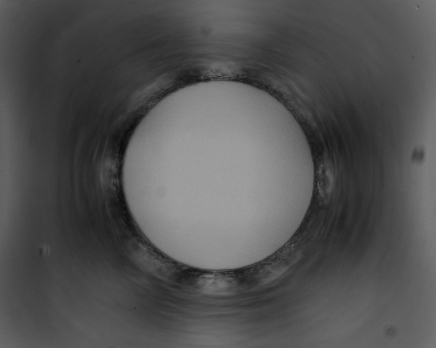 X0000100860714200807181136