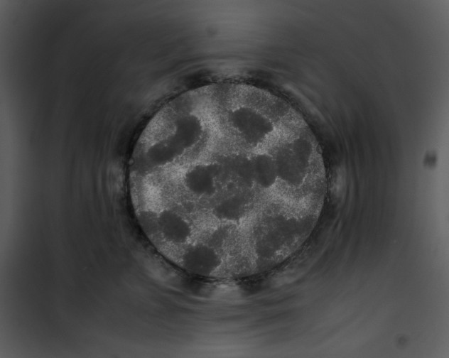 X0000100860715200807181136