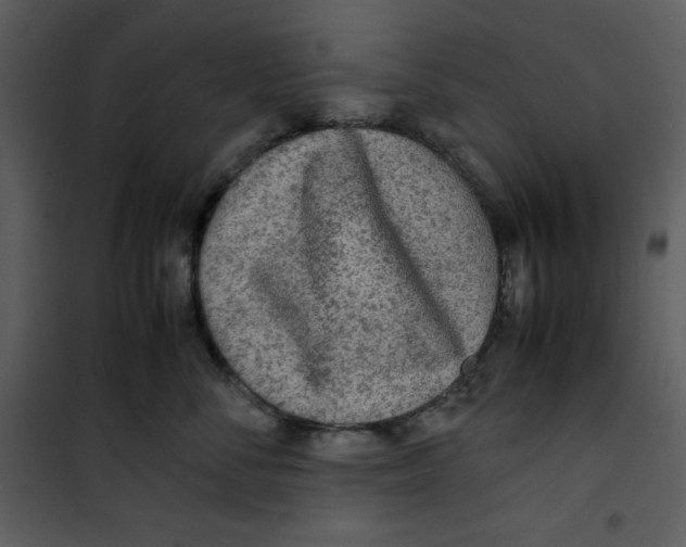 X0000100860716200807181136