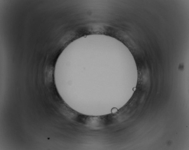 X0000100860717200807181136