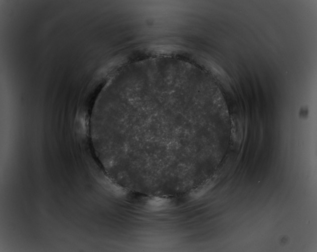 X0000100860718200807181136