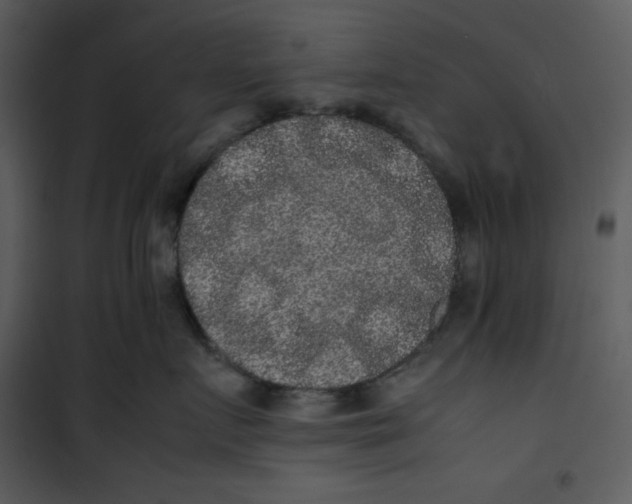 X0000100860719200807181136