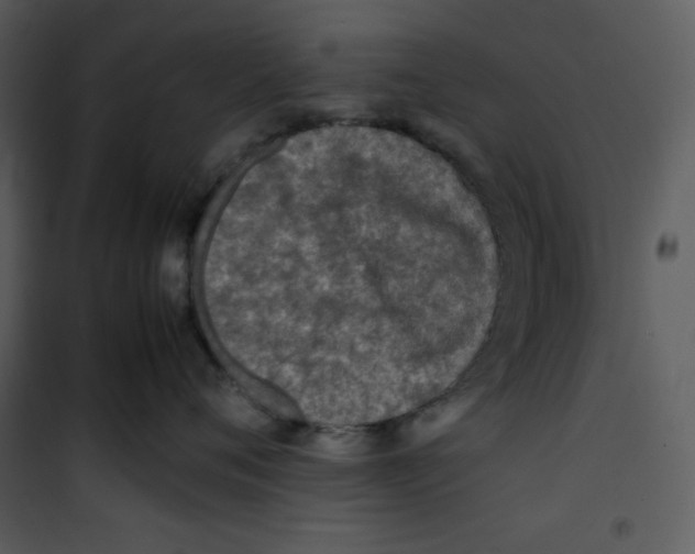 X0000100860720200807181136