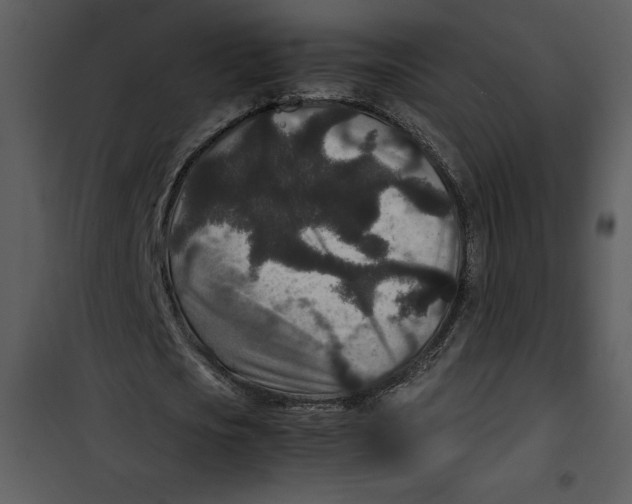 X0000100860721200807181135