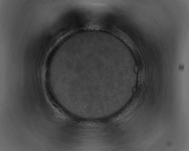 X0000100860722200807181135