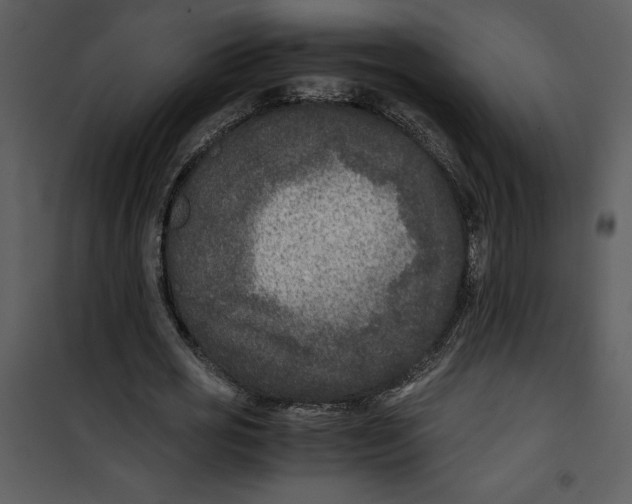 X0000100860725200807181135