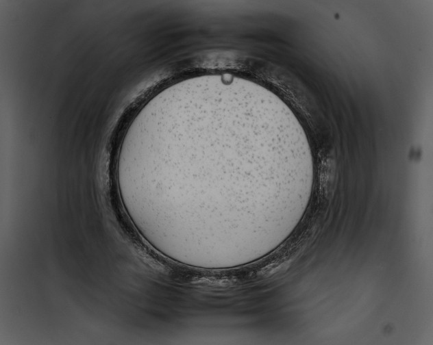 X0000100860727200807181135