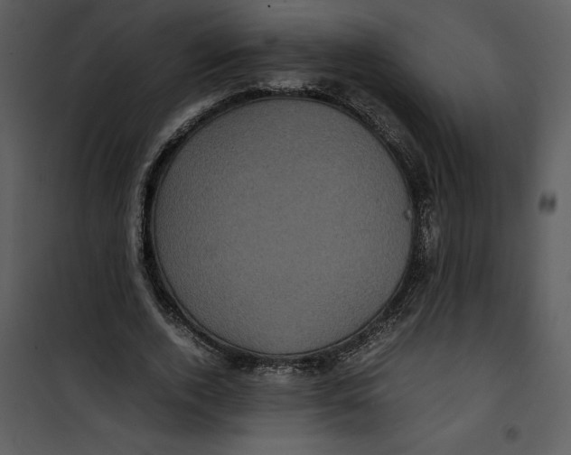 X0000100860728200807181135