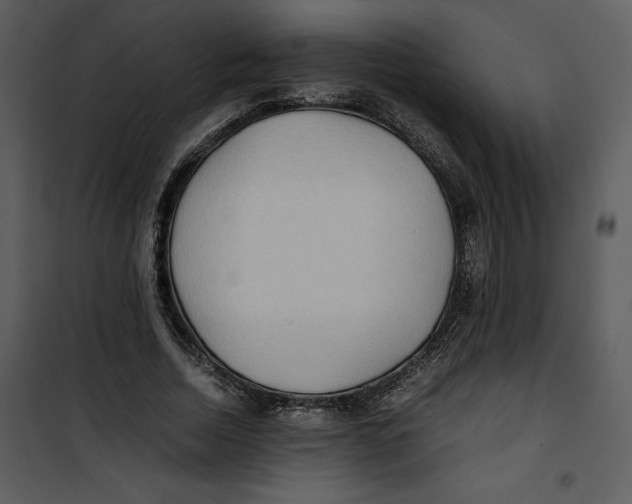 X0000100860730200807181135