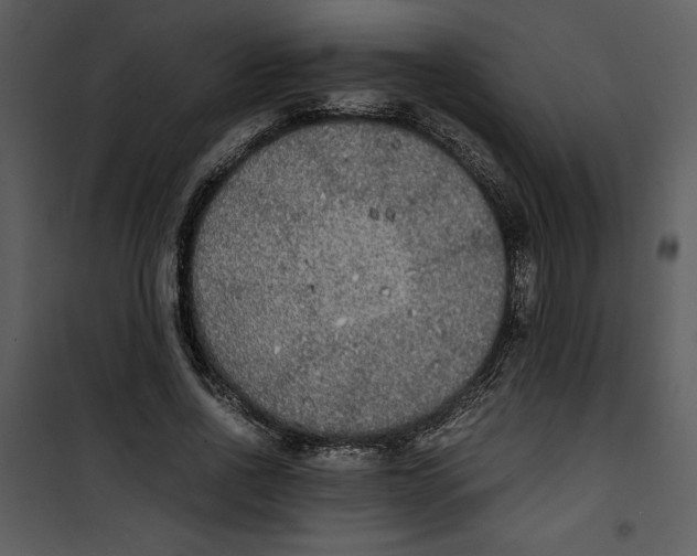 X0000100860734200807181135