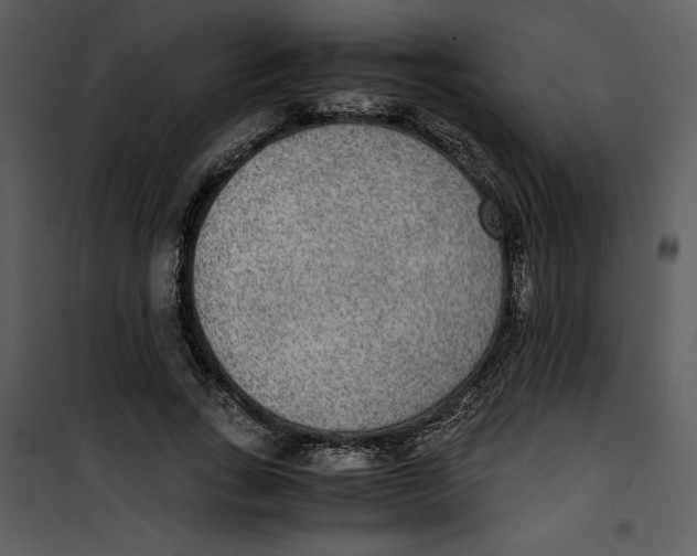 X0000100860735200807181135