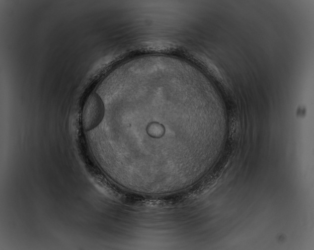 X0000100860736200807181135