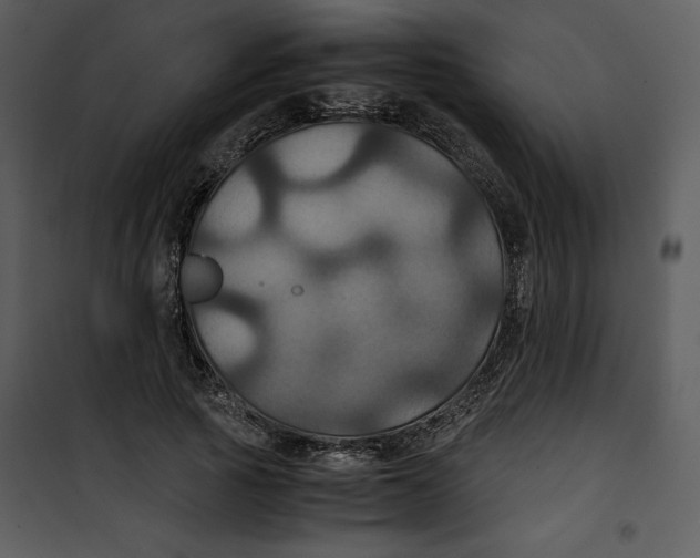 X0000100860737200807181135