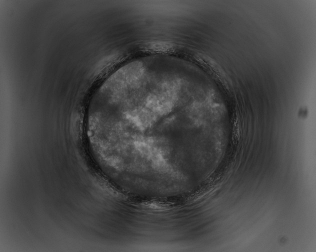 X0000100860739200807181135