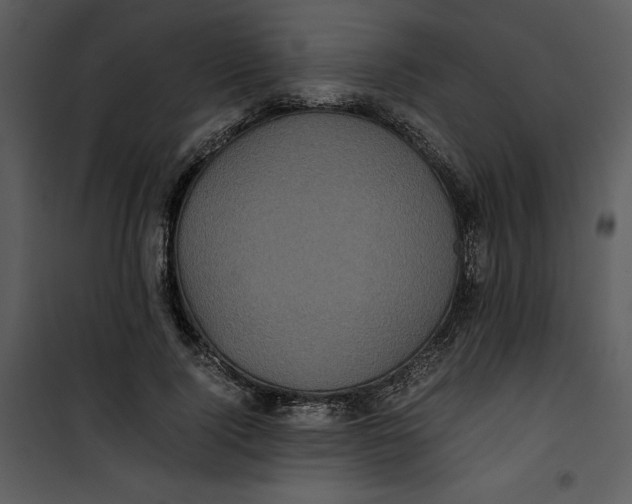 X0000100860740200807181135