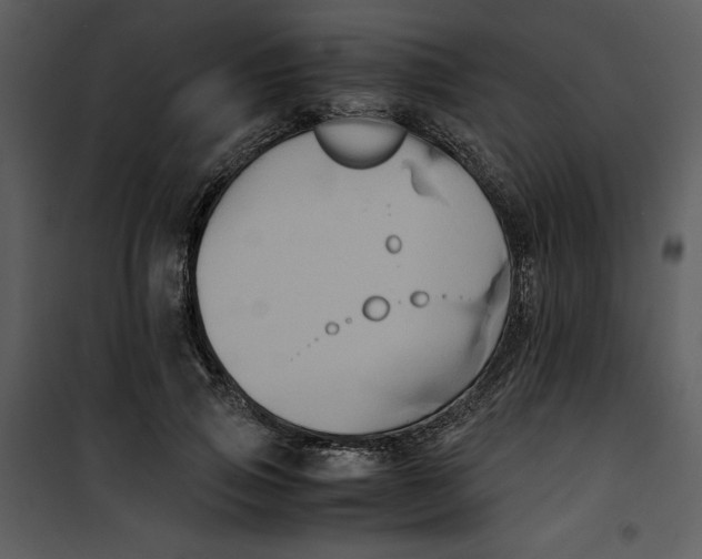 X0000100860741200807181135