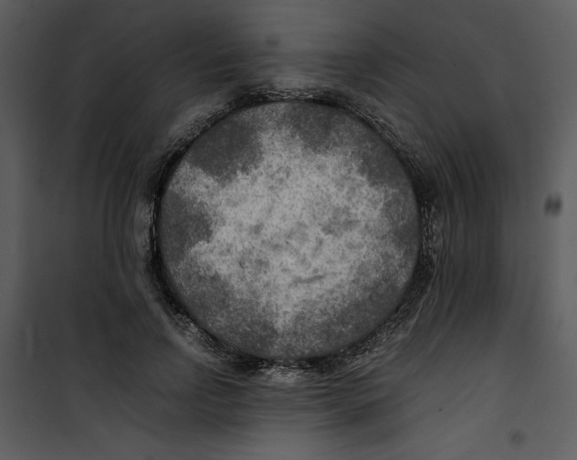 X0000100860742200807181135