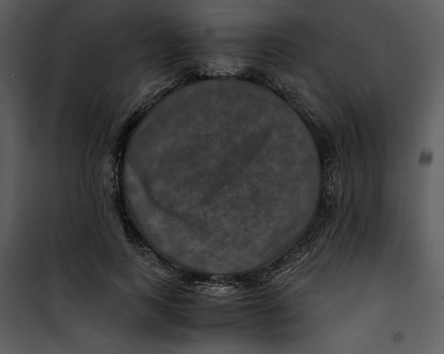 X0000100860743200807181135