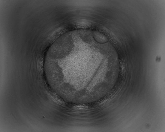 X0000100860745200807181135