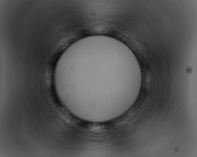 X0000100860746200807181135