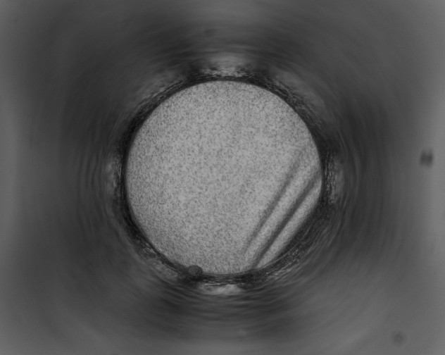 X0000100860747200807181135