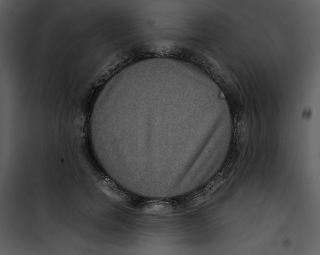 X0000100860750200807181135