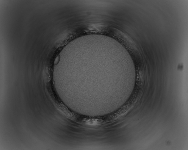 X0000100860751200807181136