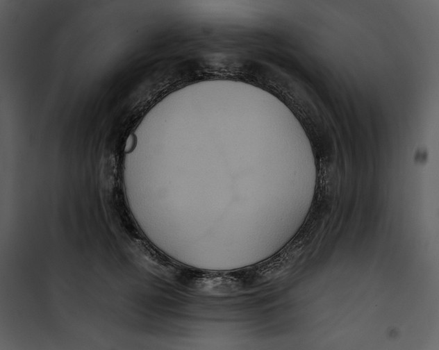 X0000100860752200807181136