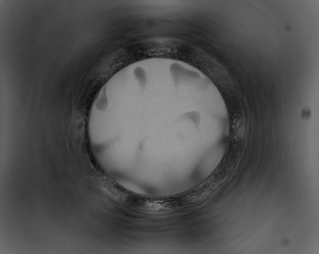 X0000100860753200807181136