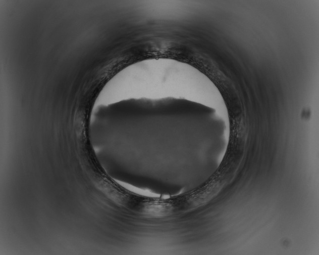 X0000100860754200807181136