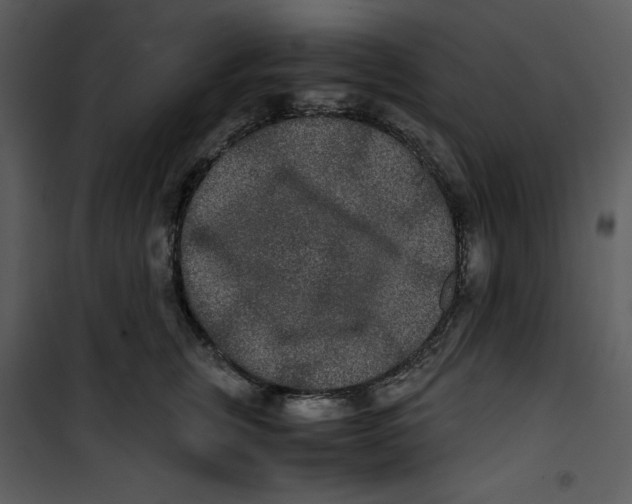 X0000100860759200807181136