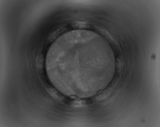 X0000100860760200807181136