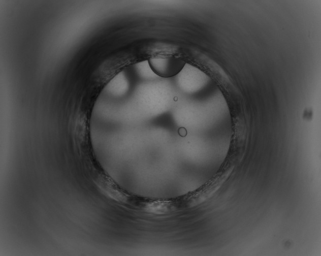 X0000100860761200807181136