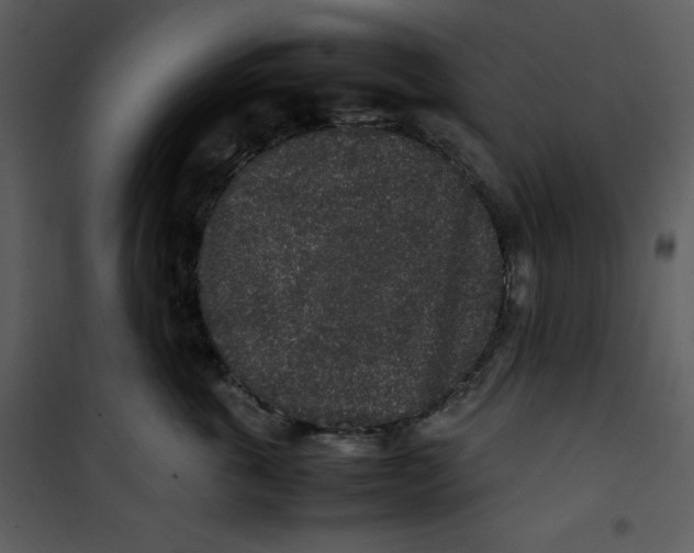 X0000100860763200807181136