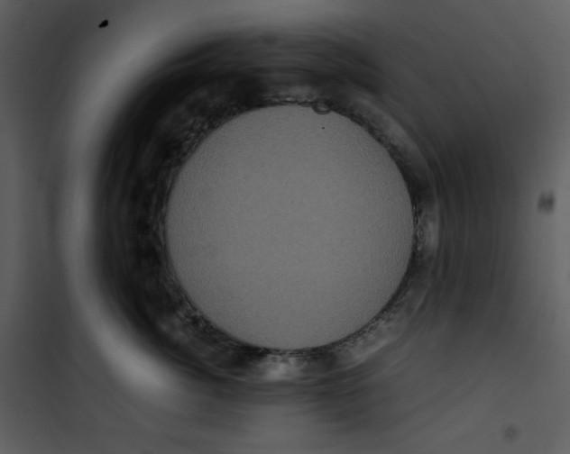 X0000100860764200807181136