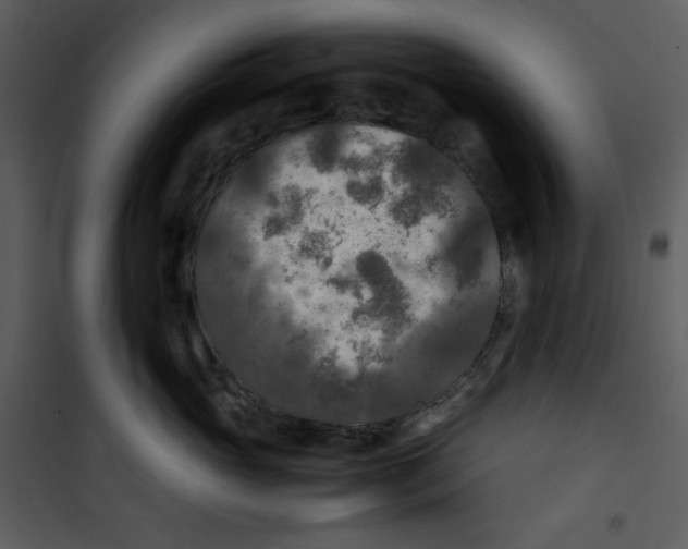 X0000100860765200807181136